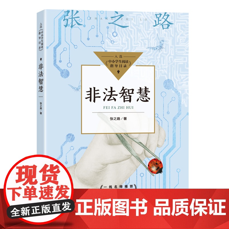 非法智慧豆蔻镇书系张之路非常神秘系列长江文艺出版社少儿科幻小说故事书6-12岁四五六年级中小学生课外阅读书籍高清大图