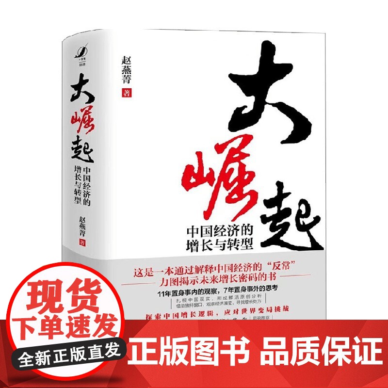 大崛起 中国经济的增长与转型 赵燕菁著 揭示城市空间战略与经济增长问题 探索中国增长逻辑高清大图