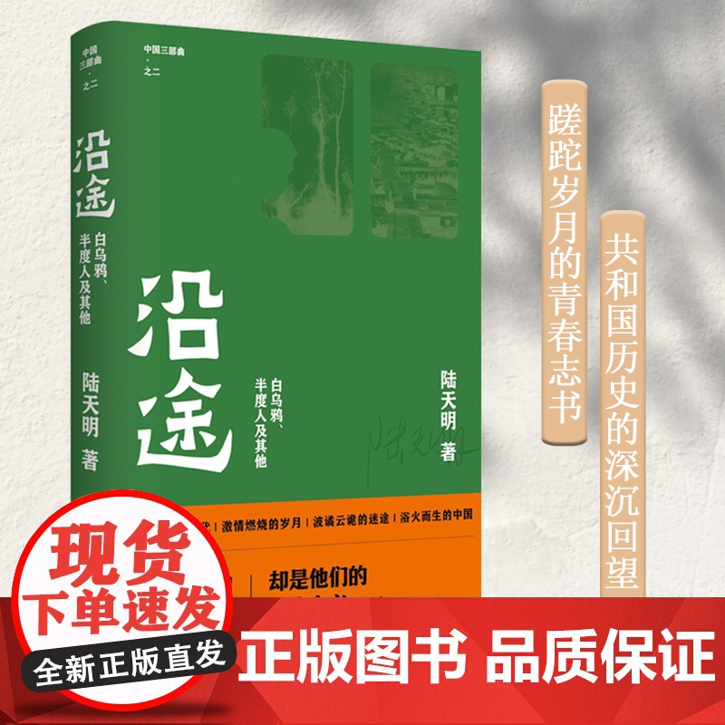沿途(陆天明著作) 陆天明 人民文学出版社 正版书籍高清大图