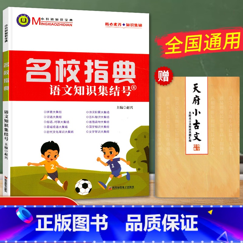 [正版]中小学名校阅读宝典名校指典语文知识集结号 中小学生四五六年级小升初语文知识集锦拼成语诗歌文化常识文学常识大全成