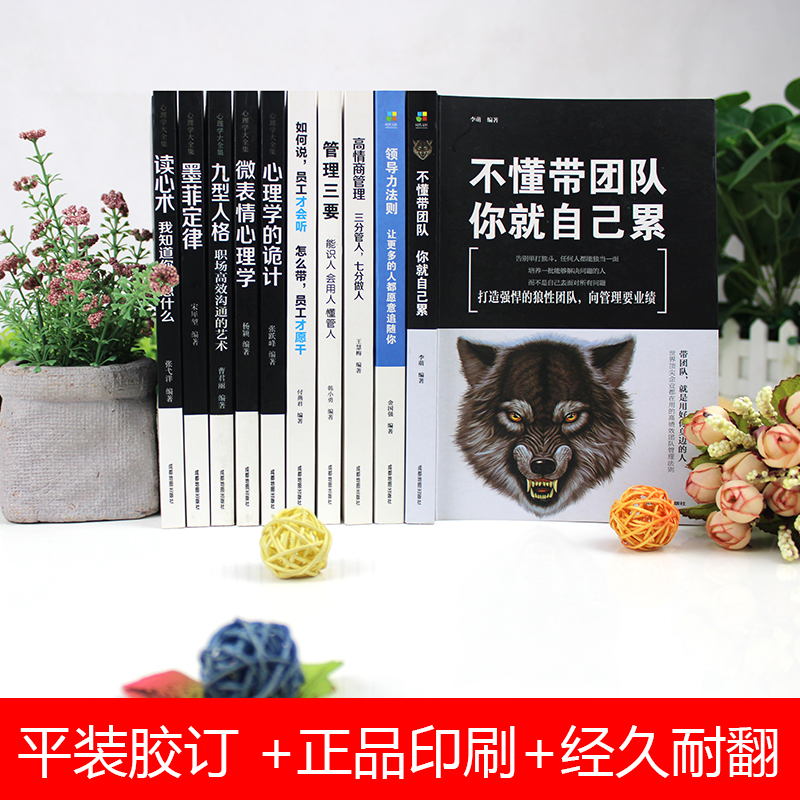 [正版]管理方面的书籍全10册不懂带团队你就自己累领导力法则高情商管理墨菲定律九型人格执行力公司经营行政企业管理阿尔泰高清大图