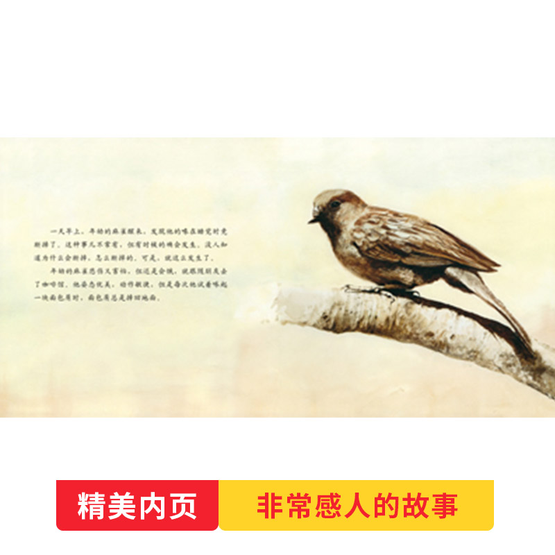 单本全册 [正版]断喙鸟硬壳精装图画书启发关于生命主题绘本4岁以上亲子阅读童书高清大图
