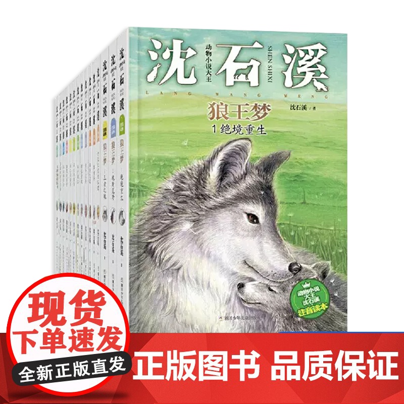 动物小说大王沈石溪作品全套3册正版注音版读本6到10岁儿童故事书小学生一二三四年级课外阅读书籍绝境重生魂断荒野王者之魂高清大图