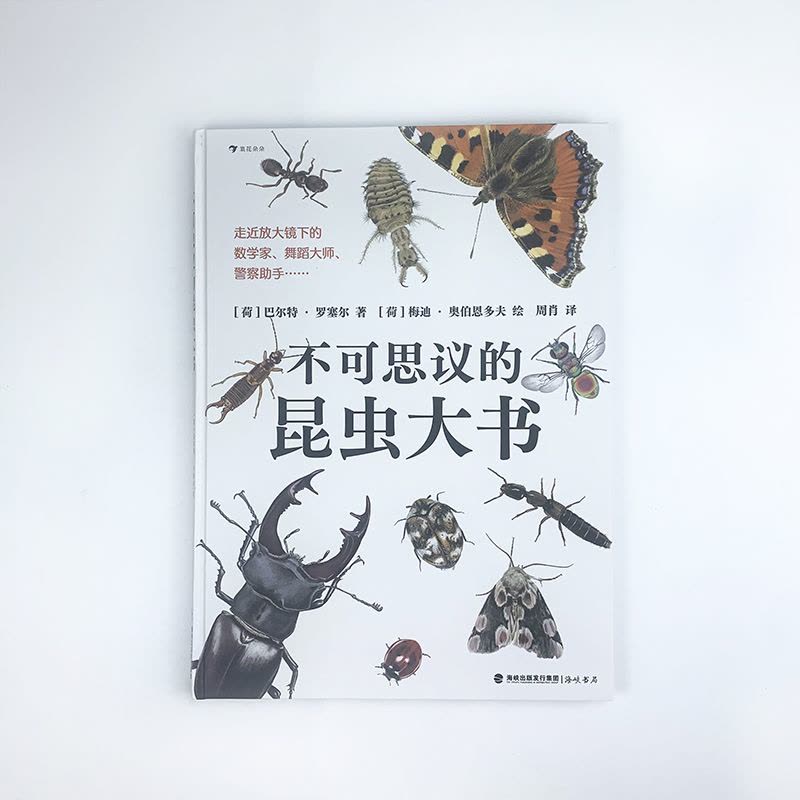 不可思议的昆虫大书 [正版]浪花朵朵浪花朵朵 不可思议的昆虫大书 8岁以上超精细手绘图达尔文生物科学观察自然科普书籍图片