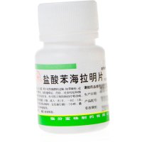 宝珠牌 盐酸苯海拉明片100片过 敏性鼻炎 慢性荨麻疹湿疹 抗过敏眩晕 过敏药品