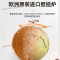 博世(BOSCH)壁挂炉尊享欧洲之星24kW采暖炉原装进口天然气燃气热水器两用炉家庭采暖壁挂炉锅炉生活热水器