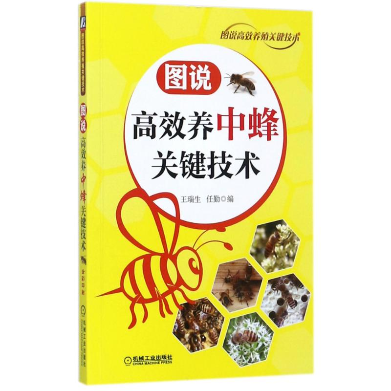 醉染图书图说高效养中蜂关键技术9787111577065高清大图