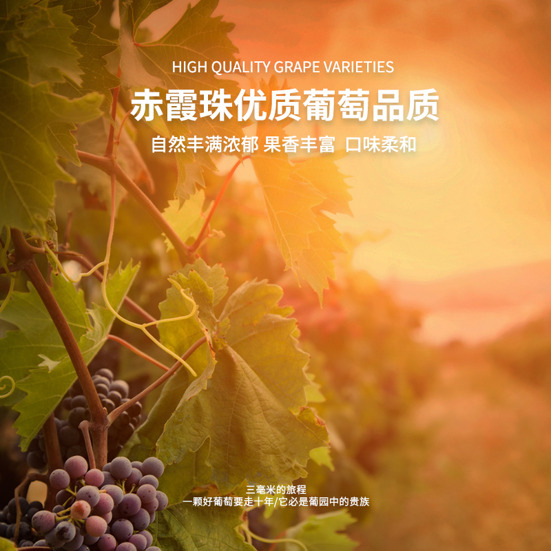 羽蝶兰山赤霞珠干红葡萄酒宁夏贺兰山东麓产区酒庄酒进出口级别750ml*2瓶-黑标红酒13.5度