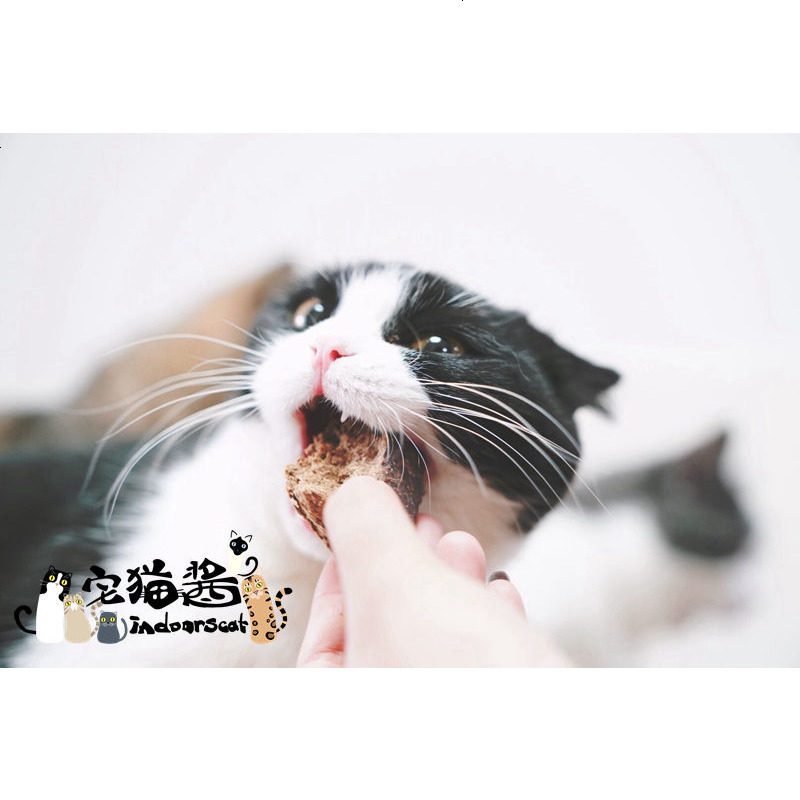 宅猫酱 好吃到怀疑喵生 鹿类猫咪宠物零食 小肉干 肉类小零
