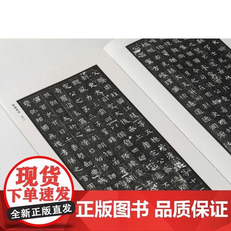 隋代墓志精粹一武德皇后阿史那氏王升乙弗明郑祁耶萧妙瑜张宪卿张振妻韦氏解方保刘豪杜佑 本社编上海书画出版社精选书法资料鉴赏高清大图