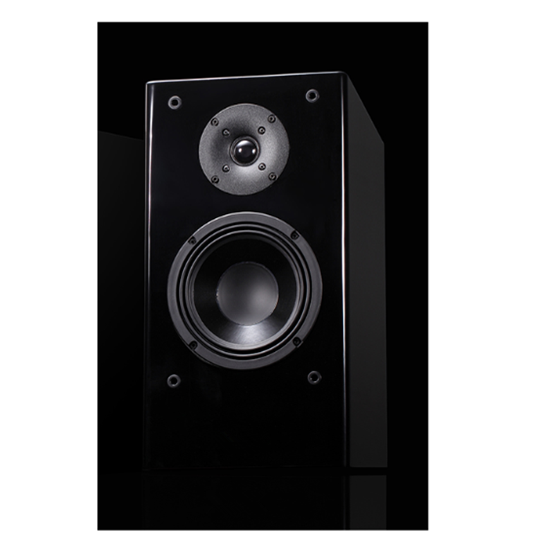迪杰锐声(DIGIRESEARCH) 扬声器 DVS4