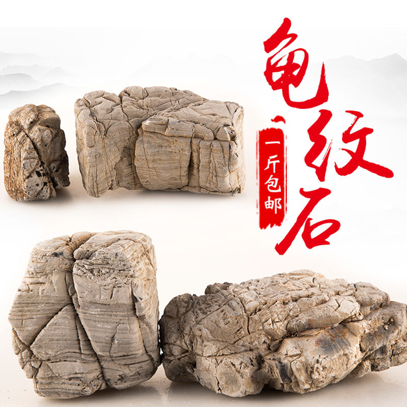 精品龟纹石假山盆景摆件大小快原石奇石树抱石微景观鱼缸造景石头 龟纹石15cm内1斤(共1块)