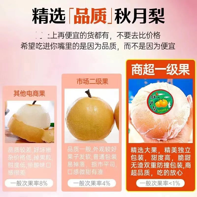 正宗秋月梨梨子5/10斤薄皮新鲜超甜孕妇水果礼盒装