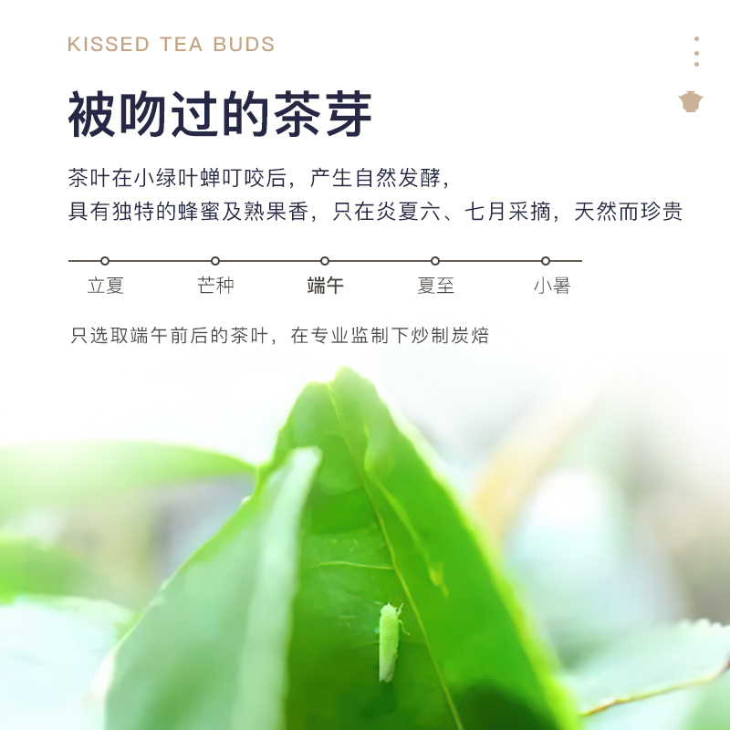 茶里黑标乌龙茶系列-东方美人茶盒装24g