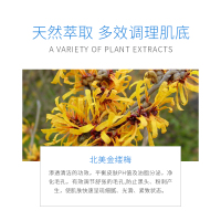 WIS细致毛孔面膜 补水保湿面膜贴清洁玻尿酸收缩毛孔男女士学生