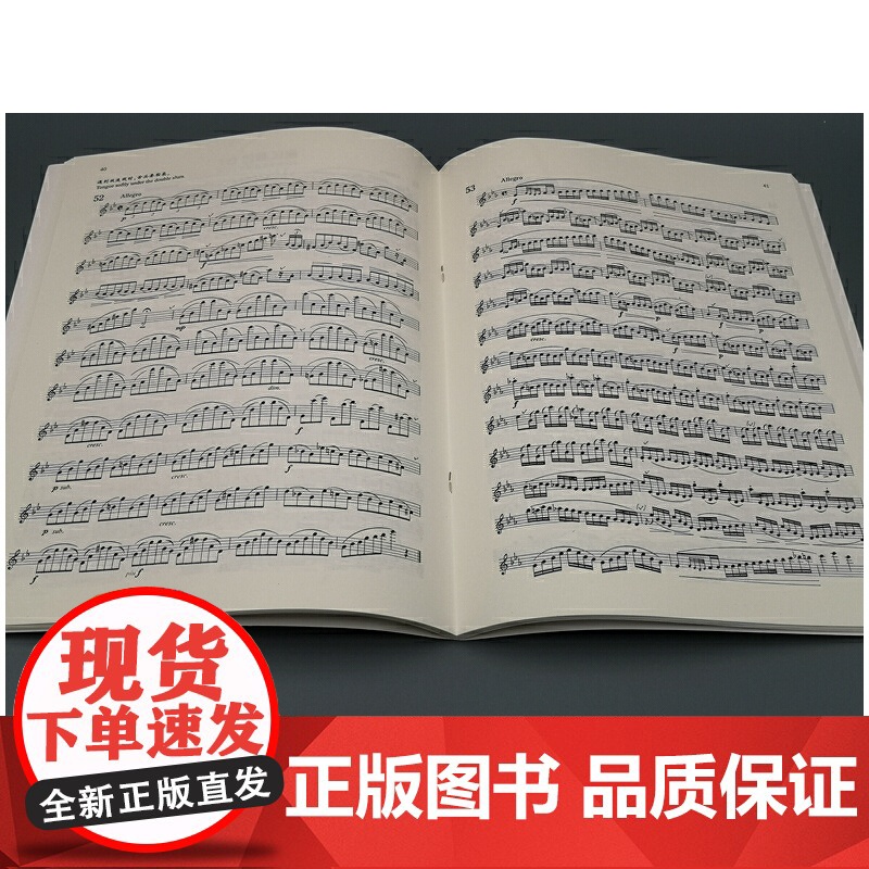长笛经典练习曲进阶曲集 中级 新版扫码可选购配套示范音频高清大图