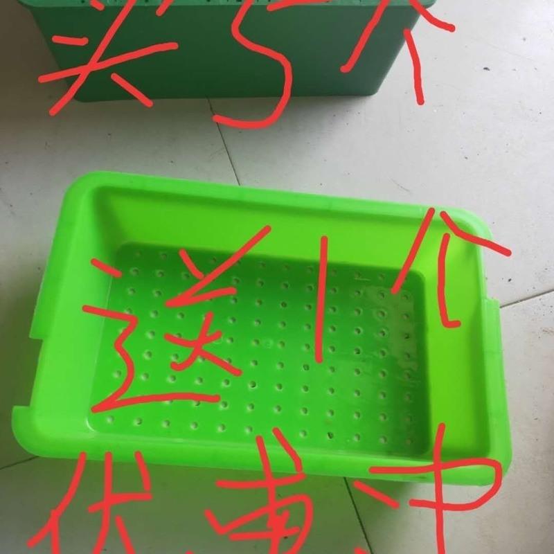 兔用产箱母兔产箱兔笼用产仔母兔产仔箱兔子凹槽式产仔箱新型产箱 买5个送1个买10个送2个 小产箱38*23.6