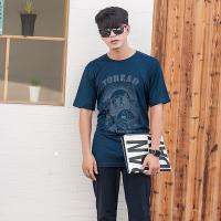 探路者（TOREAD）户外春夏男式运动休闲透气吸汗圆领图案印花短袖T恤TAJF81971