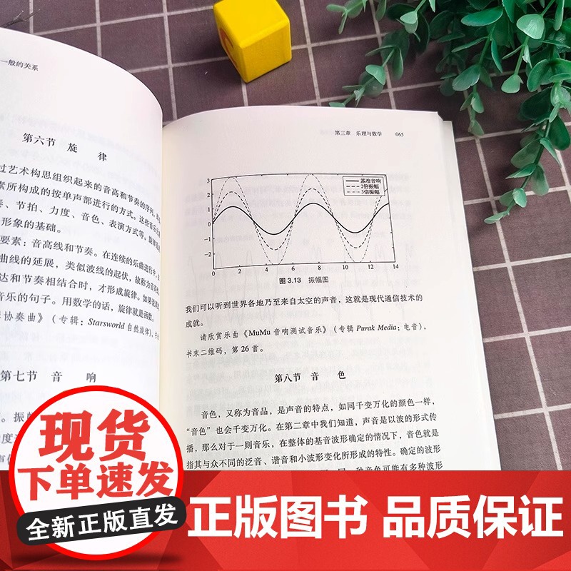音乐和数学:谜一般的关系(砺智石丛书) 音乐数学关系研究自然科学普及丛书 历史上的音乐数学拾锦 乐器与数学上海科学技术出高清大图