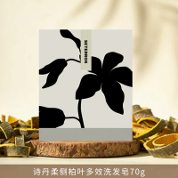 诗丹柔SETERRON侧柏叶多效洗发皂100g