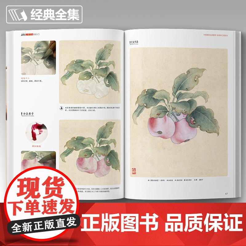经典全集 正统工笔花鸟技法入门基础教程书籍中国工笔画稿白描勾线牡丹上色涂色宋画临摹册初自学者名家手绘教材 杨建飞主编SH