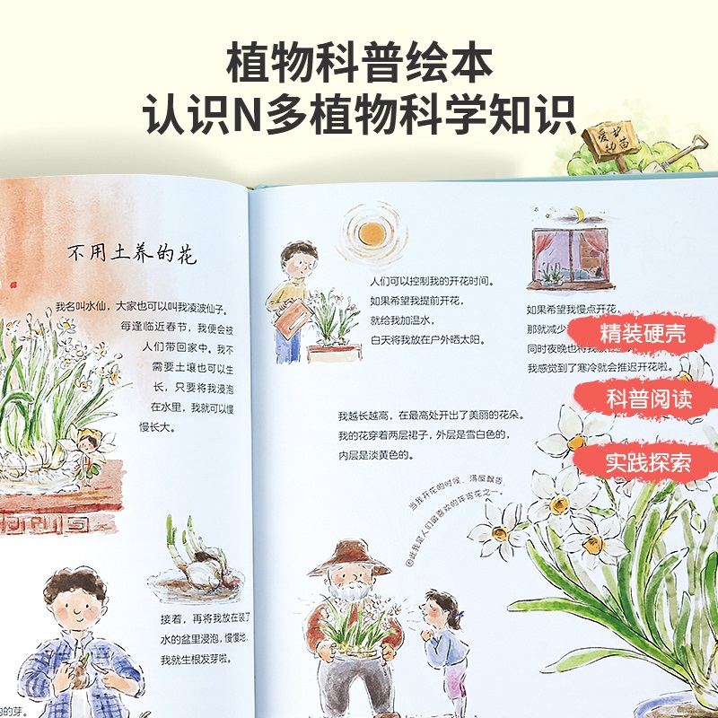 小小园丁- 儿童种植探索3D立体礼盒 [正版]小小园丁儿童种植探索3d立体花园 有趣的翻翻书3d立体书礼盒生日礼物女孩高清大图
