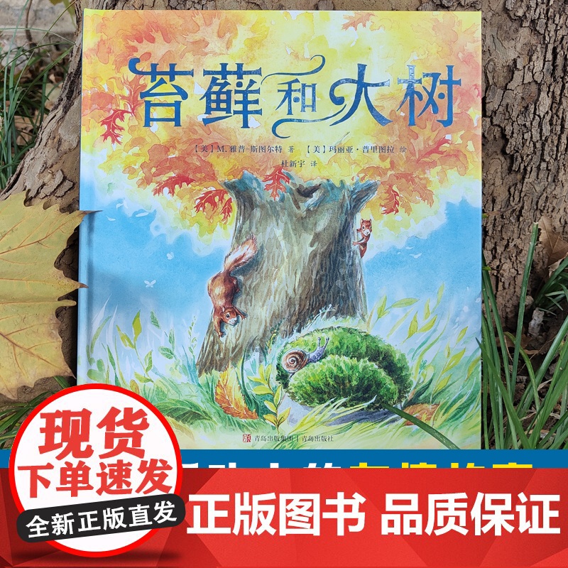 苔藓和大树高清大图