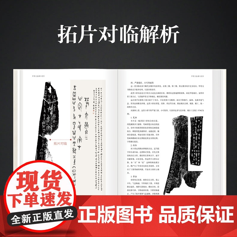 甲骨文临摹与创作刘颜涛编著李刚田刘钊联袂拓片对临解析甲骨文金文安阳毛笔书法字帖软笔篆刻金文篆书河南美术出版社高清大图