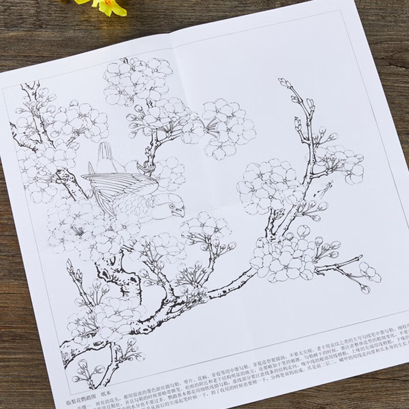 [正版]名作经典 宋代花鸟小品一 高清原作 赏饰临习 李晓明编 工笔花鸟画赏饰临习绘制技法白描底稿临摹书籍 天津杨柳青高清大图