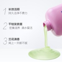 飘柔家庭护理兰花长效洁顺水润洗发露1L装(柔顺滋润家庭装洗发水洗头膏 苏宁自营)