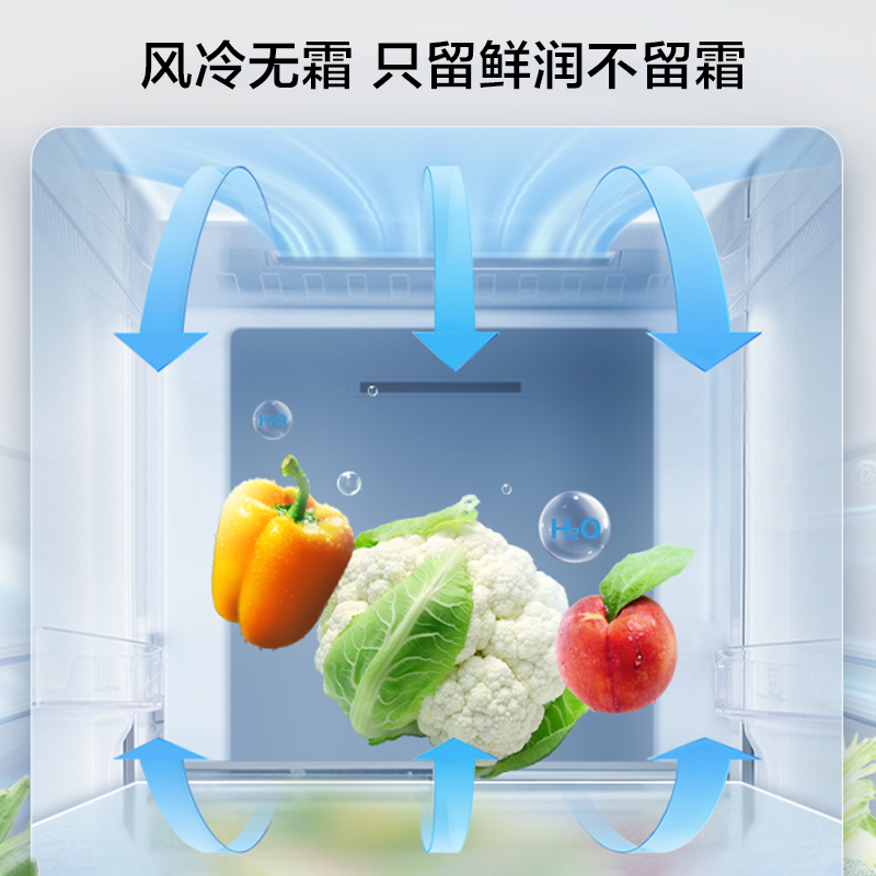 容声(Ronshen)221升 冰箱无霜三门冰箱 电脑控温 中门冷鲜抗菌 国补 星砂金BCD-221WD16NY