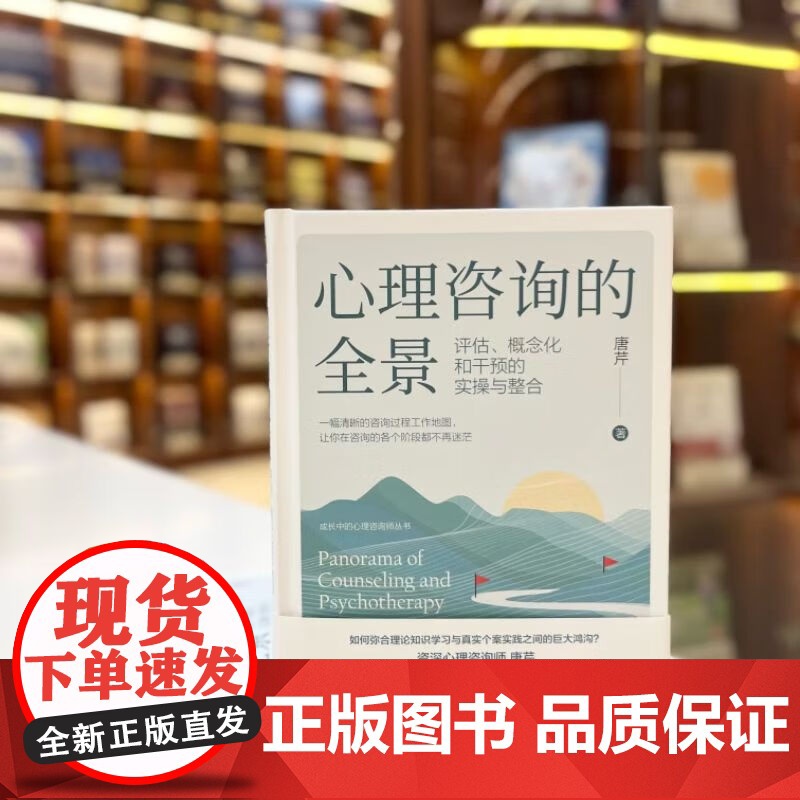 心理咨询的全景 评估 概念化和干预的实操与整合 唐芹 著 心理学高清大图