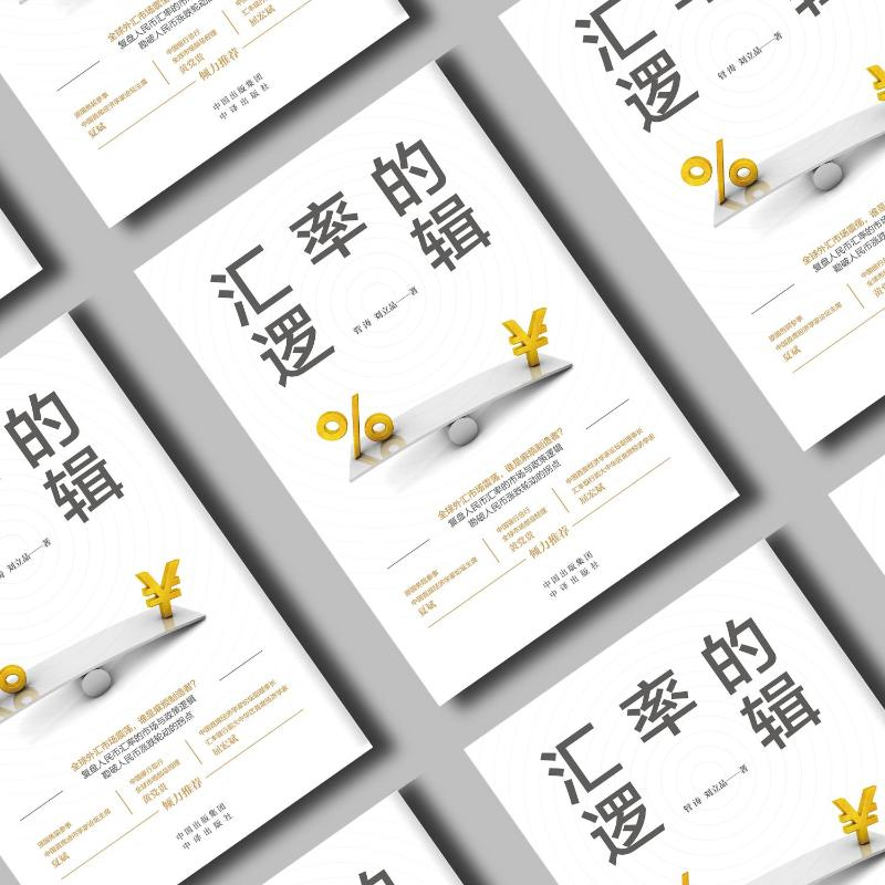 醉染图书汇率的逻辑9787500171317高清大图