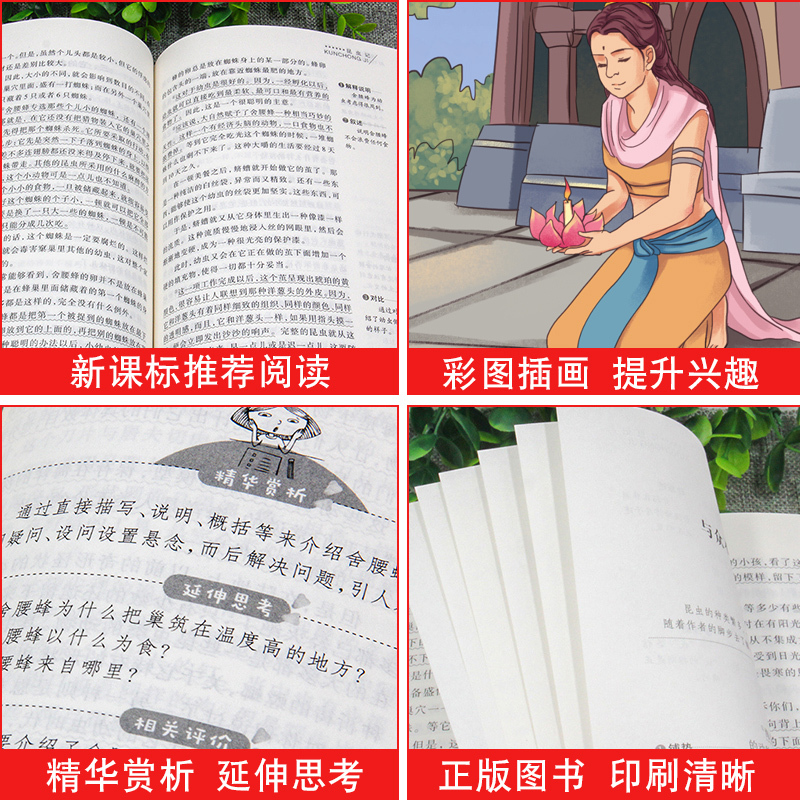 [5本] 泰戈尔诗选+湘行散记+聊斋志异+世说新语+唐诗三百首 [正版]泰戈尔诗选原著小学生课外阅读书籍三四五六七八