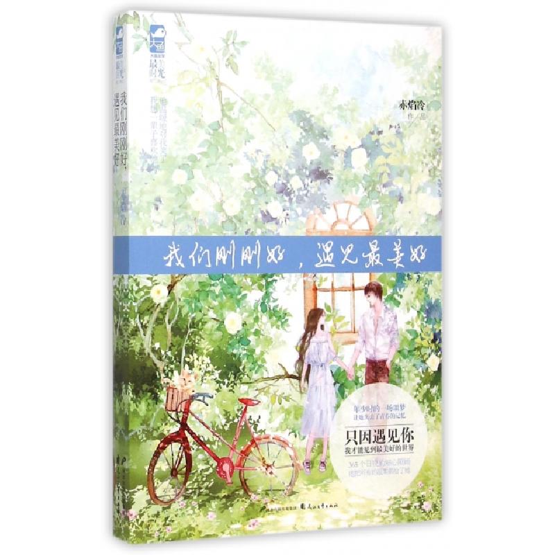 正版新书】我们刚刚好遇见最美好赤焰冷9787551124676