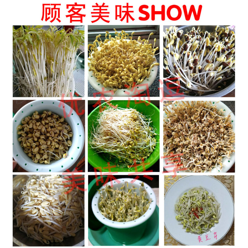 豆芽罐家用麦饭石塑料生豆芽机豆芽菜种植桶发黄豆绿豆芽桶非陶瓷|大豆芽罐3-5人—送黄绿黑豆各1包
