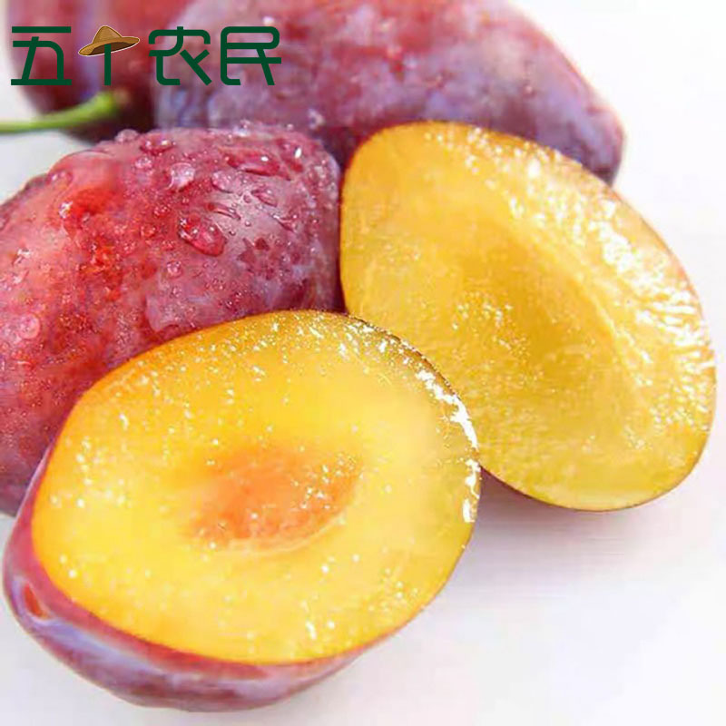 [五个农民]智利进口西梅季节限定 1kg装中果每斤约28个 进口李子新鲜水果