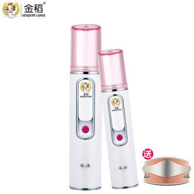 金稻(KINGDOM)充电宝补水仪 KD77SR 水分测试仪 手机充电宝 便携脸部加湿器 纳米喷雾 美容仪