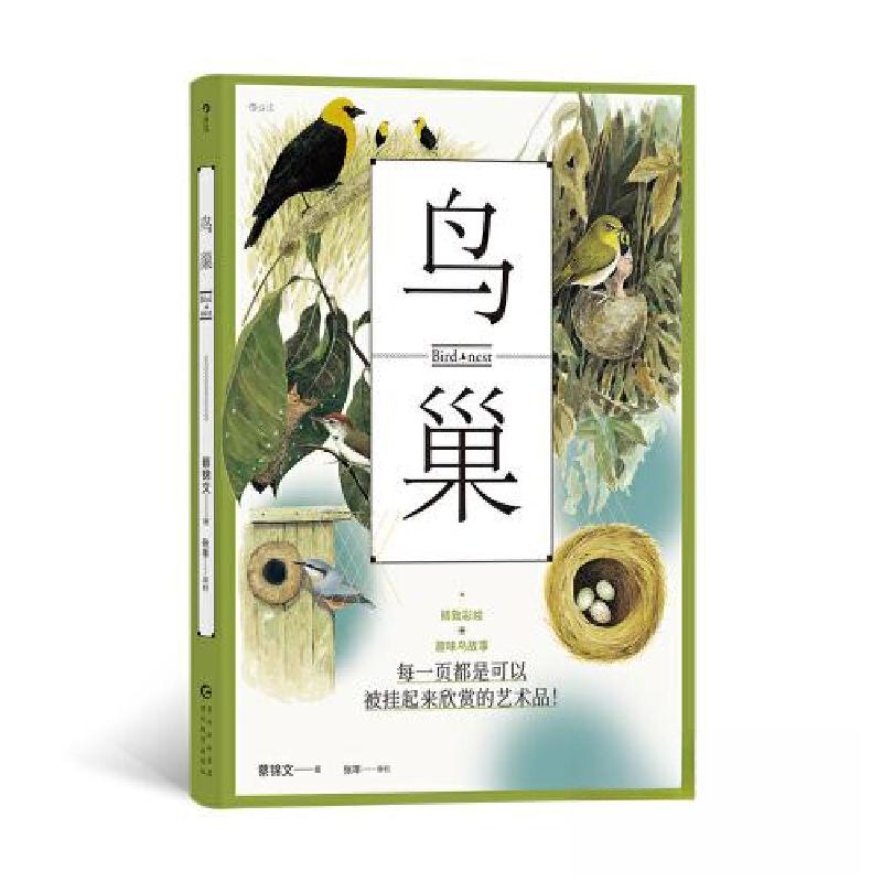 正版新书]鸟巢蔡锦文 后浪9787545616279高清大图