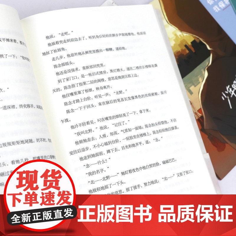 少年的你 如此美丽 玖月晞著 易烊千玺&amp;周冬雨主演电影《少年的你》你保护世界我保护你 原著小说 书籍高清大图