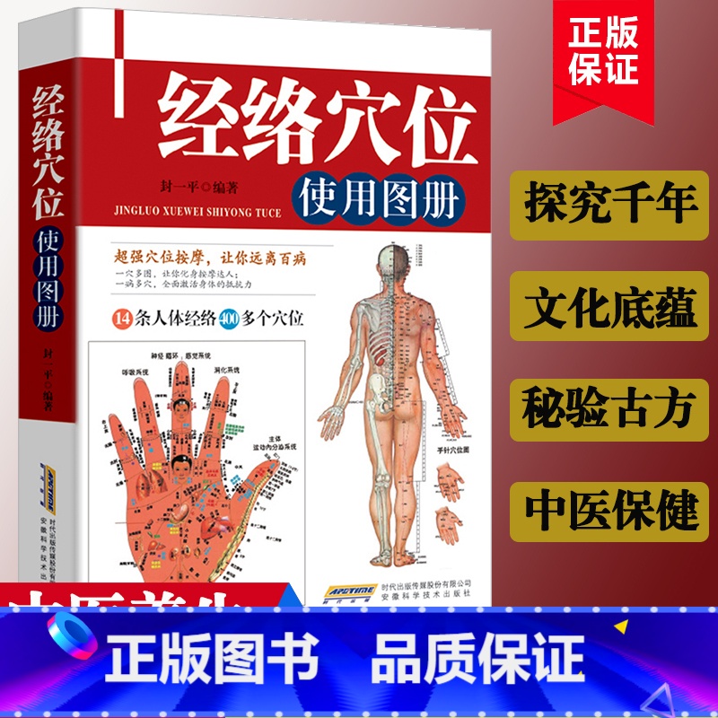 【正版】人体经络穴位使用图册 中医养生书美容美体艾灸推拿人体穴位书 针灸养生手法筋络图书 人体经络图穴位定位防病治病详