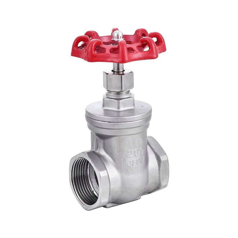 智铮朗月 不锈钢闸阀DN20 个