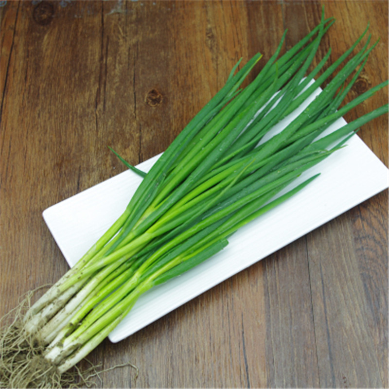 新鲜小葱东北特产东北小葱农家肥白露葱1kg2斤