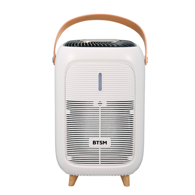 BTSM 小型家用除菌净化器滤芯多功能去甲醛除烟味智能多档调节学生宿舍净化器滤芯 空气净化器--BM-JH01!高清大图