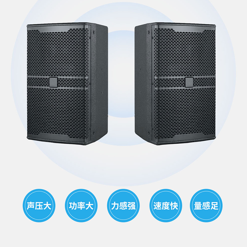 润普国产化会议室展厅教室礼堂报告厅10英寸全频专业会议音响/音箱RP-HYD655高清大图