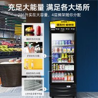星星(Xingx) 288升 单门展示柜 商用陈列柜冷藏立式冰柜饮料柜饮品保鲜柜(黑色)LSC-288G