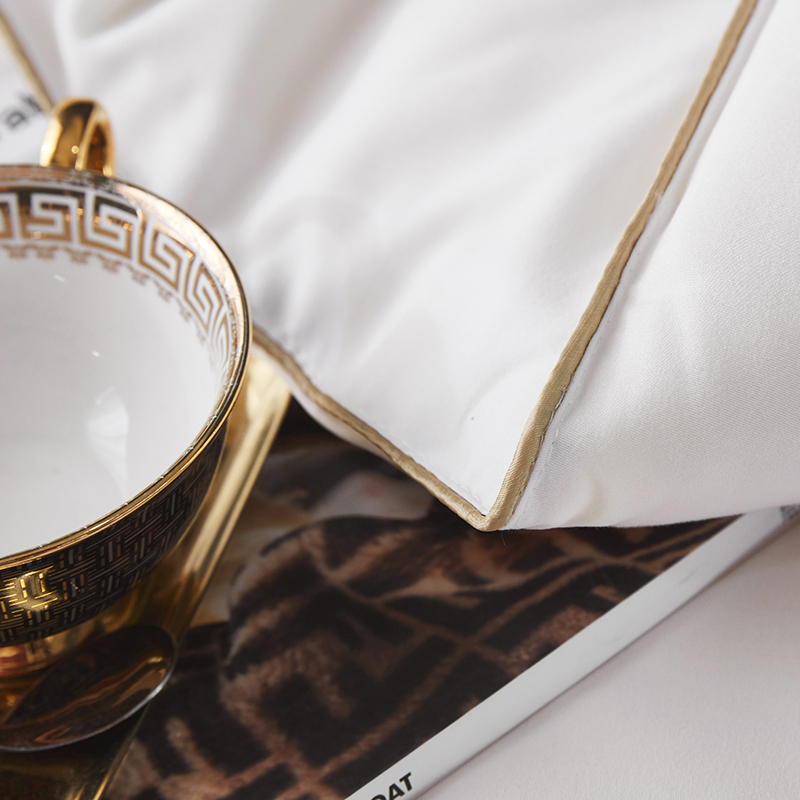 唐纳家纺 甄选大豆纤维抗菌春秋被 200×230cm/2500g- TN-SAQ21025高清大图