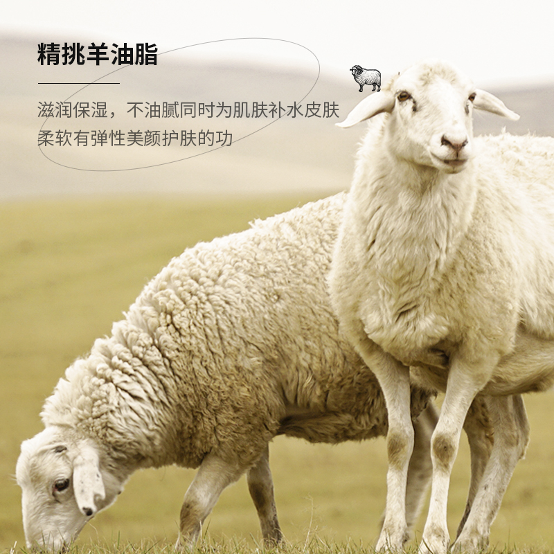 [4瓶装]形象美绵羊油保湿面霜140g/盒 护肤滋润高清大图