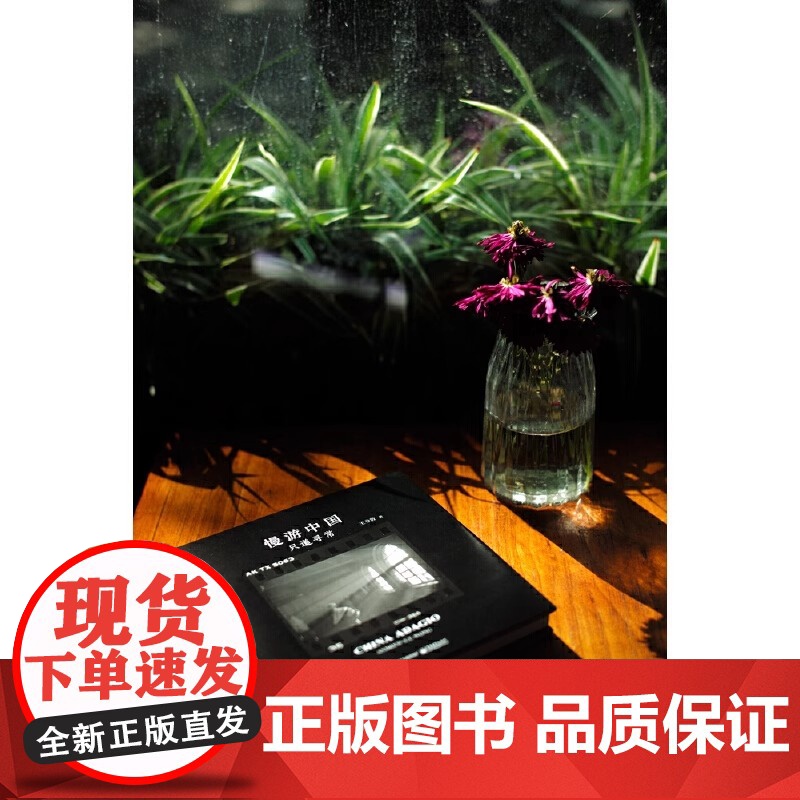 慢游中国:只道寻常 王身敦 电子工业出版社 正版书籍高清大图