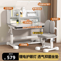 布欧格儿童学习桌书桌小学生家用 豪华灰：手摇升降/矫姿器/阅读架/台灯 畅销款